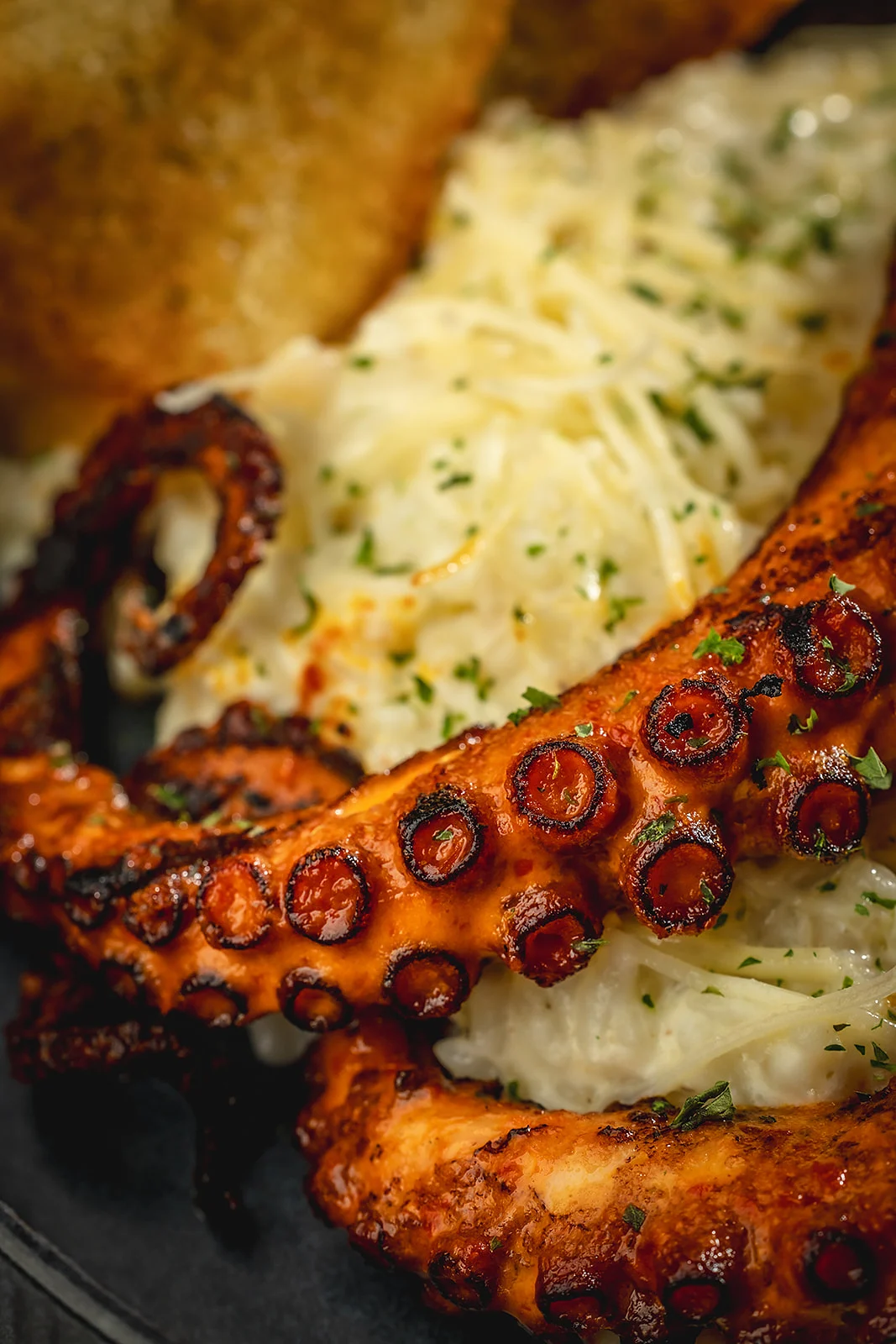 Octopus risotto